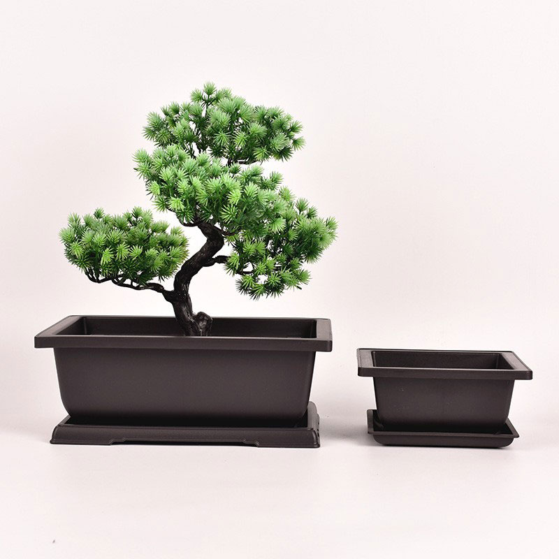 Dikdörtgen Bonsai Saksısı